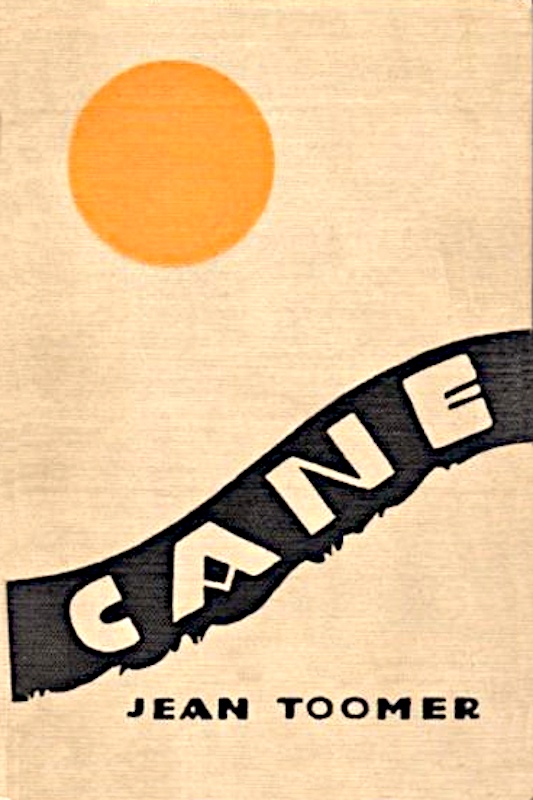 Cane cover